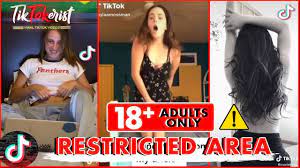 Is There an 18+ TikTok? - Zeru