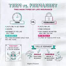 You might need a combination to meet your goals. Term Vs Permanent Life Insurance Napkin Finance