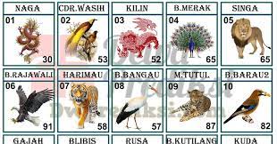 Langsung aja simak gambar binatang lucu bikin ngakak yang ada dalam artikel ini, yuk! Gambar Binatang Pk 888 Cara Golden