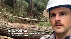 San Vicente Creek Restoring A Stronghold Woddy Debris Blue Heron By Ian  Rowbotham