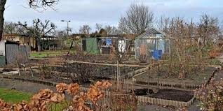 Soll der garten von einem zaun oder einer hecke umgeben sein und welche arten passen gut zum geplanten konzept. Brandenburg An Der Havel Alle Garten Unter Einem Dach Maz Markische Allgemeine