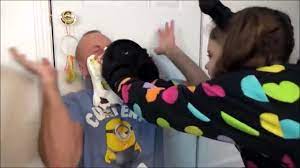 Maybe you would like to learn more about one of these? Bad Baby Puppy Kitty Annabelle Victoria Freak Daddy Hidden Egg Gross Video Dailymotion