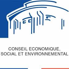 Résultat de recherche d'images pour "lecese.fr"