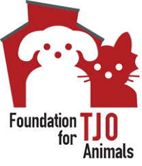 There are 30 animal shelters in worcester county, massachusetts, serving a population of 818,249 people in an area of 1,511 square miles. Foundation For Tjo Animals Springfield Ma