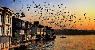 Beykoz nerede, i̇stanbul beykoz haritası ve ilçede bulunan 45 adet mahallenin listesi, beykoz nereye bağlı. Wedding Planner In Beykoz Istanbul Beykoz Istanbul Wedding Planner Whatsapp 90 546 613 33 69