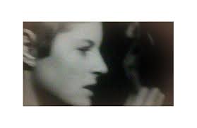 Hoodwinked 1998 directed and produced by Trish mcAdam