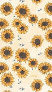 Lihat ide lainnya tentang bunga matahari, bunga, matahari. Aesteuticc Wallpaper Bunga Matahari Latar Belakang Wallpaper Wallpaper Estetika