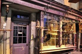 The london store was located at 521 diagon alley, on the north side of diagon alley. Set Detail Eeylop S Owl Emporium In Diagon Alley Travels Through A Geek S Mind