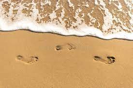 Image of beach sand footprints. Human Footprints On Sand At The Beach Stock Photo Image Of Prints Footprints 22795206