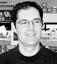 chemistry bulletin 2003