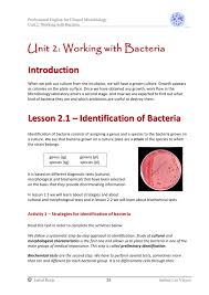 Identification Of Bacteria