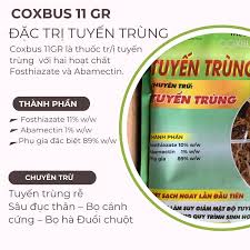 Coxbus 11GR