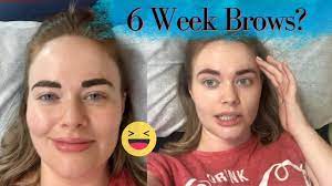 Are henna brows better than regular eyebrow tinting? Henna Brows Do They Really Last Longer Than Regular Tint Rachels Beauty Basics Youtube