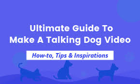 The app ensures complete mobility and allows you to keep communicating with your fur baby even when you're far away. Easy Fast How To Make A Talking Dog Video Online