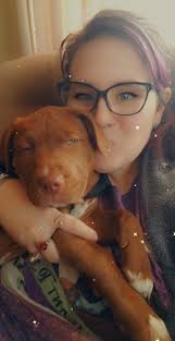 Behavior and communication dog training book recommendations?