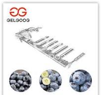 Blueberry Sorting Machine Intelligence