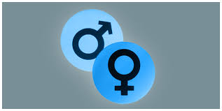 Female Hormones -Types and Functions of Female Sex Hormones