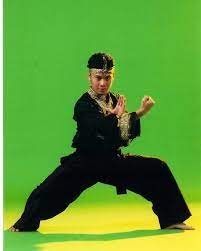 Building character and honing the soul with the warrior spirit of pencak. Pencak Silat Indonesian Seni Demo Team 2003 Martial Arts Indian Martial Arts Action Poses