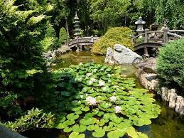 Pin On Gardens To Visit
