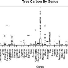 Image result for Heywoodia