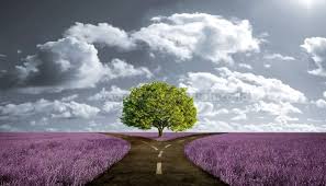 Berikut ini adalah bacaan doa sebelum makan beserta huruf latin dan juga artinya Niat Dan Doa Shalat Istikharah Beserta Terjemahannya Lengkap