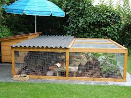 Pin Von Zan Taylor Auf Bunny Care In 2020 Meerschweinchen Aussengehege Meerschweinchen Gehege Kaninchengehege