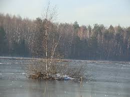 Озеро на востоке мо, спрятано в лесу и выглядит абсолютно диким. Poisk Klada E Aleks Livejournal