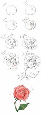 Instead, she shares her drawing tips on instagram, detailing the various steps to rendering different kinds of botanicals with pencil and paper. 10 Realistic Flower Drawings Step By Step Easy Drawing Tutorials