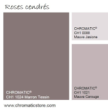 les roses cendres tres presents en decoration en 2015 sont souvent associes a des bruns des gris fumes et des tons bleu ciel www ch gris couleur decoration