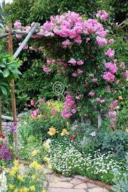 Pin By Sue Dewland On Gardening Beautiful Gardens Flower Garden Garden Inspiration
