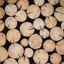 Ces poteaux en bois de pin sylvestre ont un diamètre qui varie entre 8 et 16 cm.les caractéristiquesmatériau : Fendeuse A Bois Thermique Bexmann Vls10tg