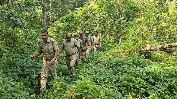 अवैध प्रकारांची तक्रार केल्याचा राग?; वनपरिक्षेत्राधिकार्‍यांनी धमकी दिल्याचा भाजप पदाधिकार्‍यांचा आरोपहदगाव किसान सभेच्या तालुकाध्यक्षांची पोलिस अधीक्षकांकडे तक्रार; चौकशी करून कारवाईची मागणी