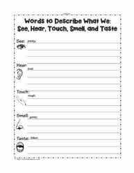 The Five Senses Worksheets