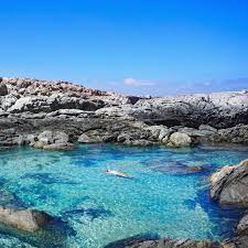 Lincoln national park, coffin bay national park and kellidie bay conservation park are within easy driving distance. Still On Holidays Like The The Two Travelling Bandits In South Australia Did You Know That Port Lincoln National Park H Port Lincoln National Parks Australia