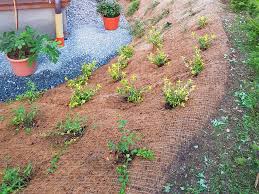 Qualitativ hochwertig verarbeitet kokosvlies verfestigt mit naturlatex aus 100% kokosfasern zum abdecken von. Hang Befestigen Bepflanzen Und Mit Der Boschungsmatte Bm350vor Erosion Schutzen Envirotek