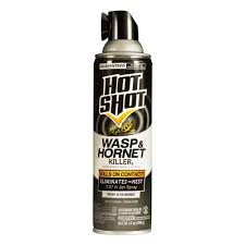 Hot Shot Aerosol Wasp Hornet Killer 14 Oz At Menards