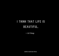 These bio's are made for lovers, they are matching. 120 Lil Peep Quotes About Love Life And Song Lyrics