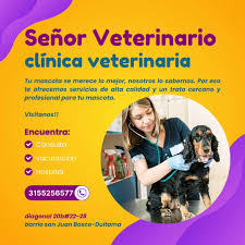 Clínica Veterinaria Señor Veterinario
