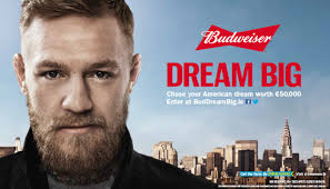 Budweiser Ireland