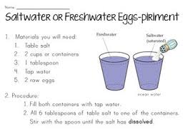 stem] sink or float experiments