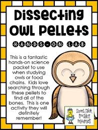 Owl Pellet Worksheets Teaching Resources Teachers Pay