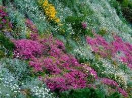 Souvent difficile à aménager, le jardin en pente exige sans aucun doute un temps de réflexion plus important qu'un jardin plat, notamment dans la recherche de solutions pour soutenir un talus. Potager Ou Jardin Fleuri Comment Amenager Un Talus Elle Decoration Beaux Jardins Jardin En Pente Comment Amenager Un Talus