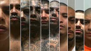 Diputados no aceptan investigación por gritos discriminatorios