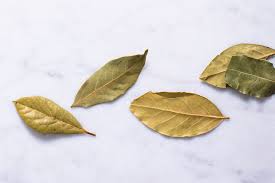 Posted by huck500 at 7:05 am on march 8, 2016 3 favorites. Bay Leaf Benefits Side Effects And Preparations