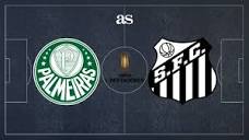Palmeiras 1-0 Santos: Copa Libertadores - result, goals, summary ...