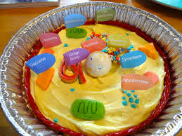 Maybe you would like to learn more about one of these? My Niece S Cell Model Made From Cake And Candy She Is So Smart School Science Projects Science Projects For Kids Edible Cell