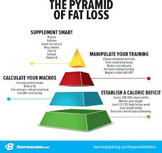 Pin On Bodybuilding