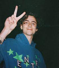 These stars are able to rake up millions of likes thanks to iconic baby pics, pregnancy announcements, and heartfelt dedications. Chalamania Why Timothee Chalamet Inspires Mass Millennial Adoration Timothee Chalamet Photo Wall Collage Wall Collage Timothee Chalamet