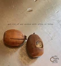 Crafts » nature crafts » how to dry acorns for crafts. How To Dry Acorns For Crafts Rustic Crafts Chic Decor