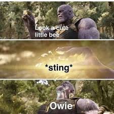 Cat stung by a bee can look quite hilarious, but it's important to know how to help them out as well. Please Let Me Win The Spelling Bee Meme Ahseeit